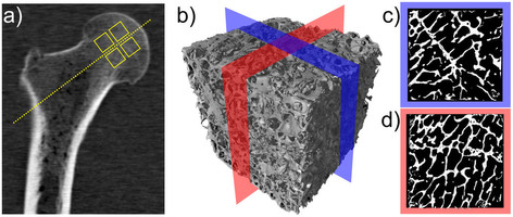 X Ray Effect Vector vectors in xrays at emaze Presentation