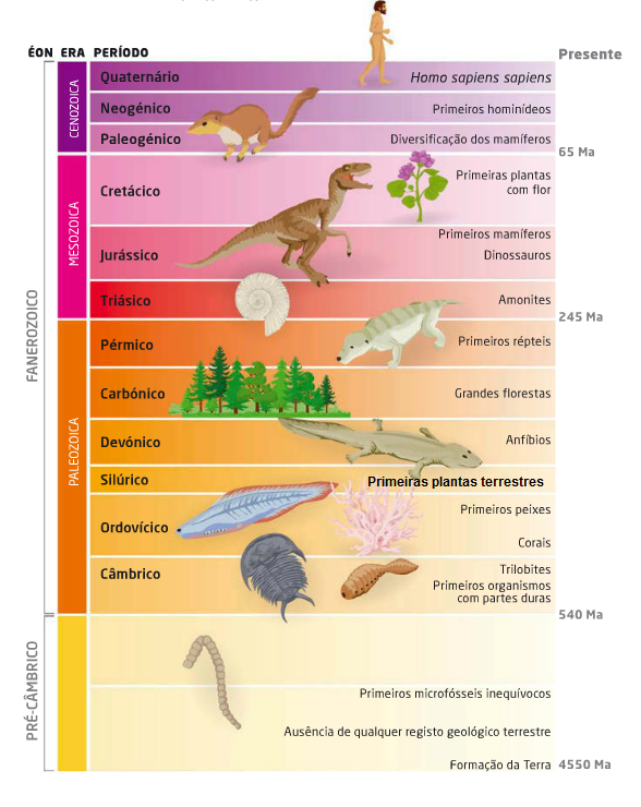 The eras tour. Tempo geologico pdf portugues.