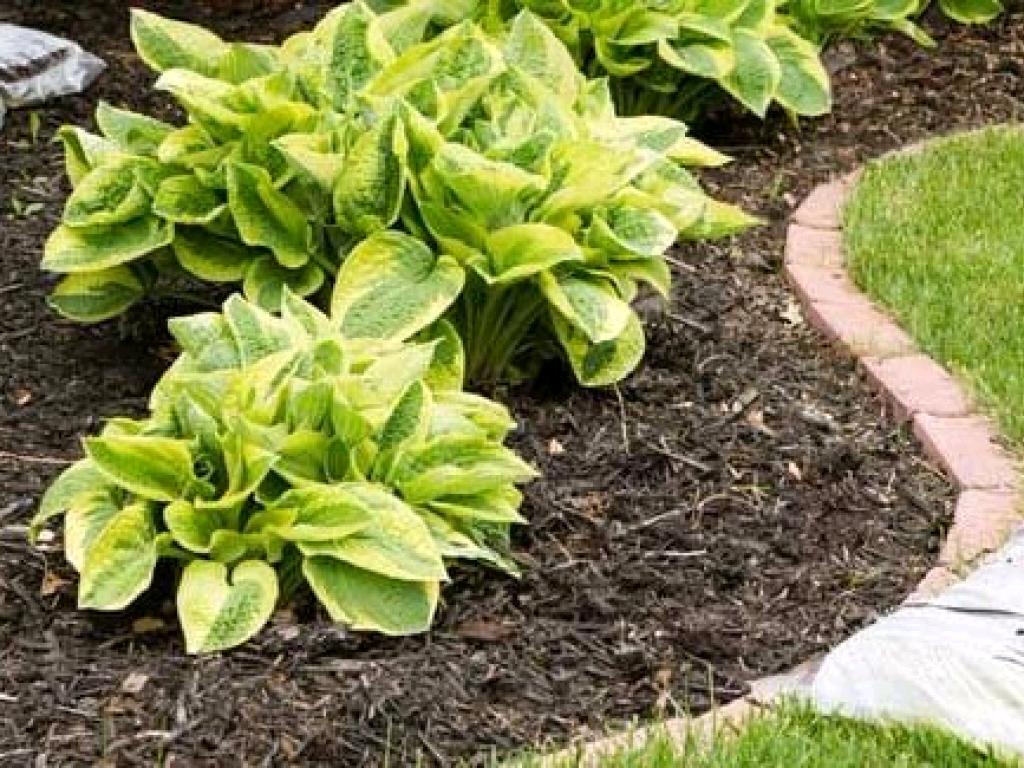 Information Presentation Of Fort Smith Lawn on emaze