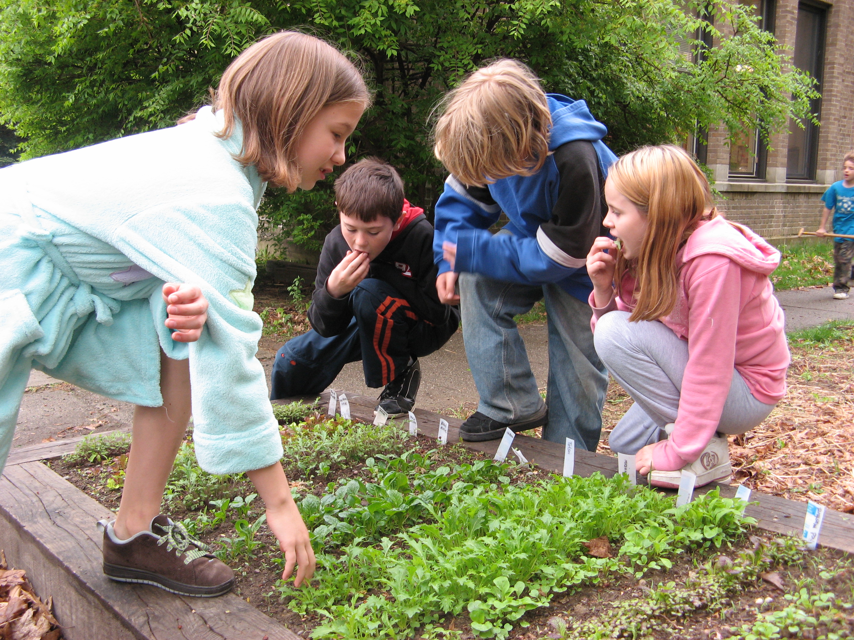 Child garden