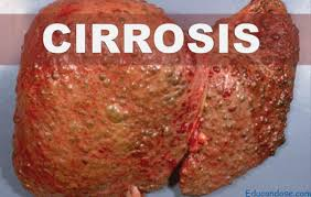 COLURIA at emaze Presentation