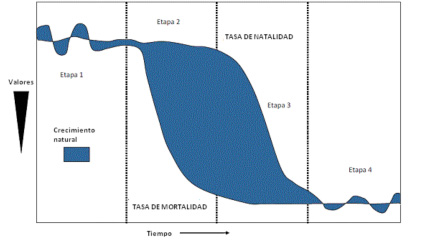 transición demográfica by hortelanogonzalo on emaze