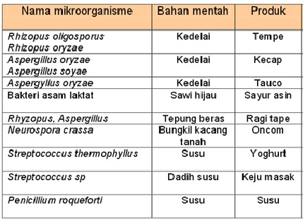 Ipa By Himaslia On Emaze Ipa By Himaslia On Emaze