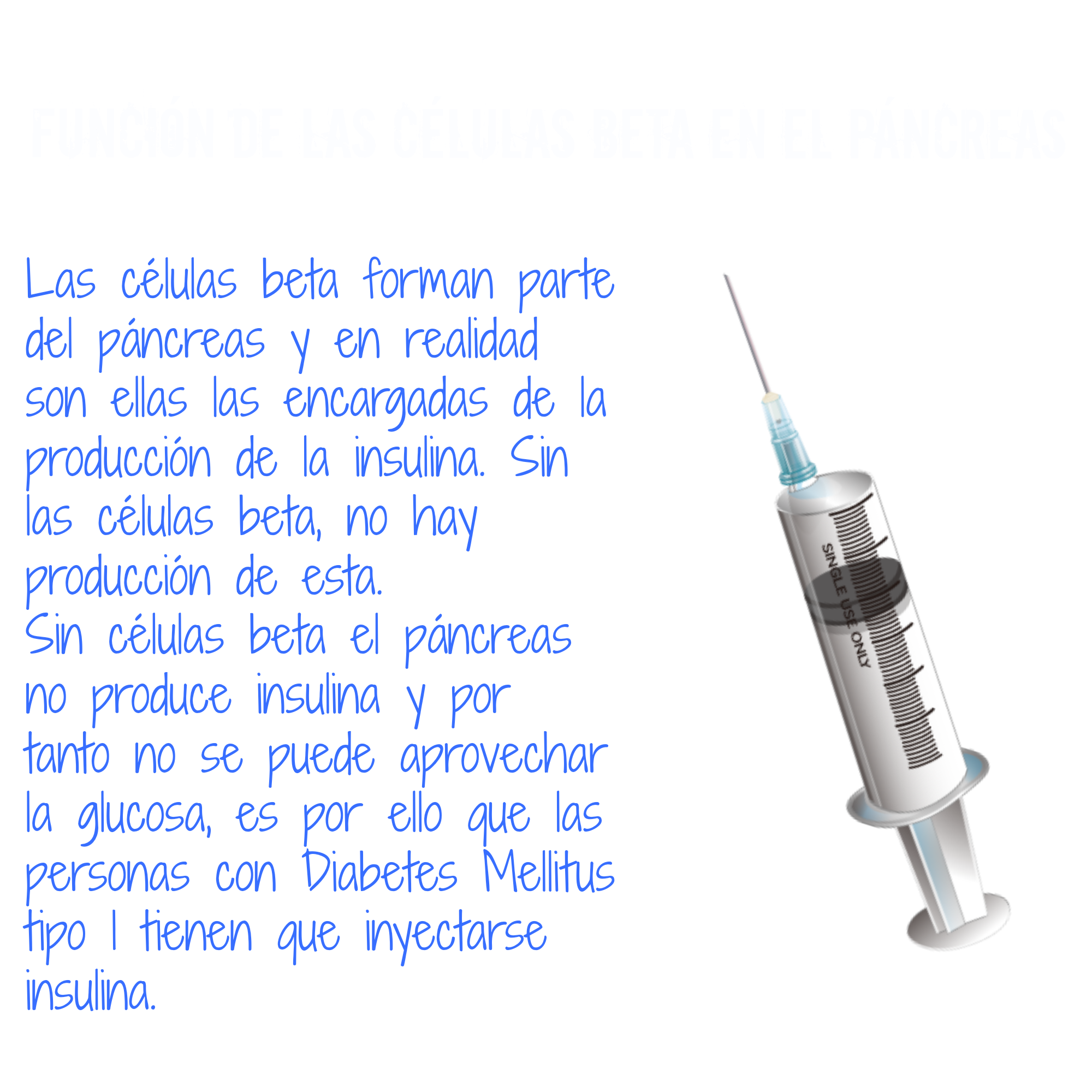 ... .com/es/recursoseducativos/1889553/diabetes_mellitus_tipo_1.htm