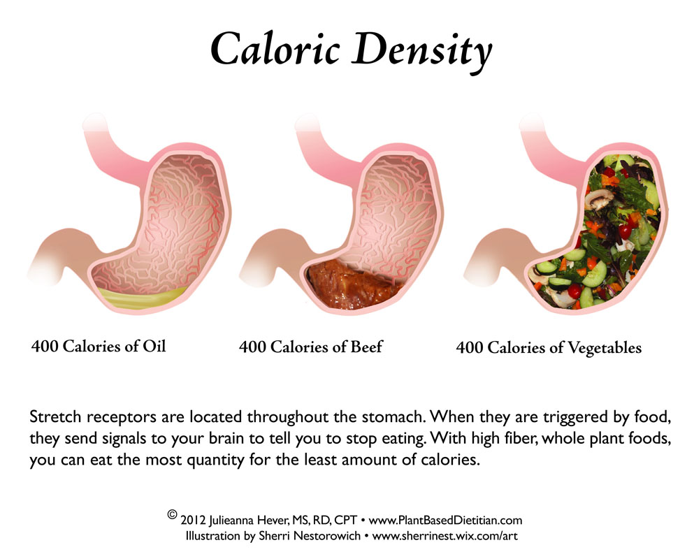 Free tips to lose weight in 10 days image 9