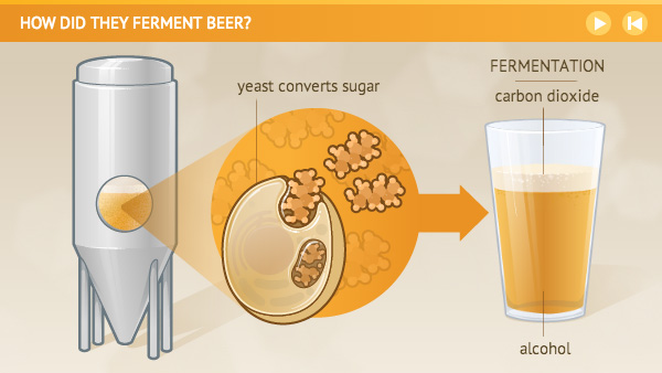 Fermentation Presentation -b.pptx on emaze - Abf648be D00f 4D19 B7bb Bb6c92b2a83bimage28