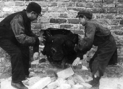 ×ª××¦××ª ×ª××× × ×¢×××¨ ××××× ×××¨××× ×××××