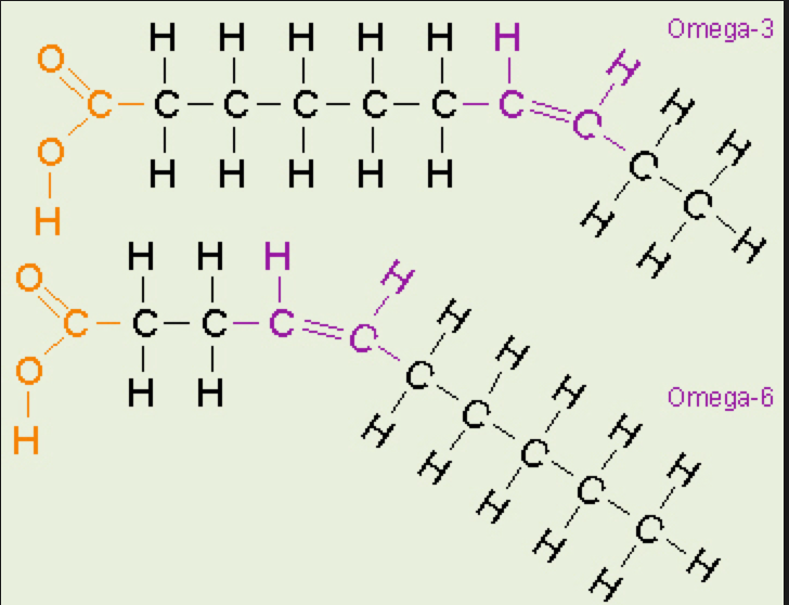 Кислота 6. Омега 3 структурная формула. Омега 3 жирные кислоты формула. Омега 6 жирные кислоты формулы. Омега 3 формула химическая.