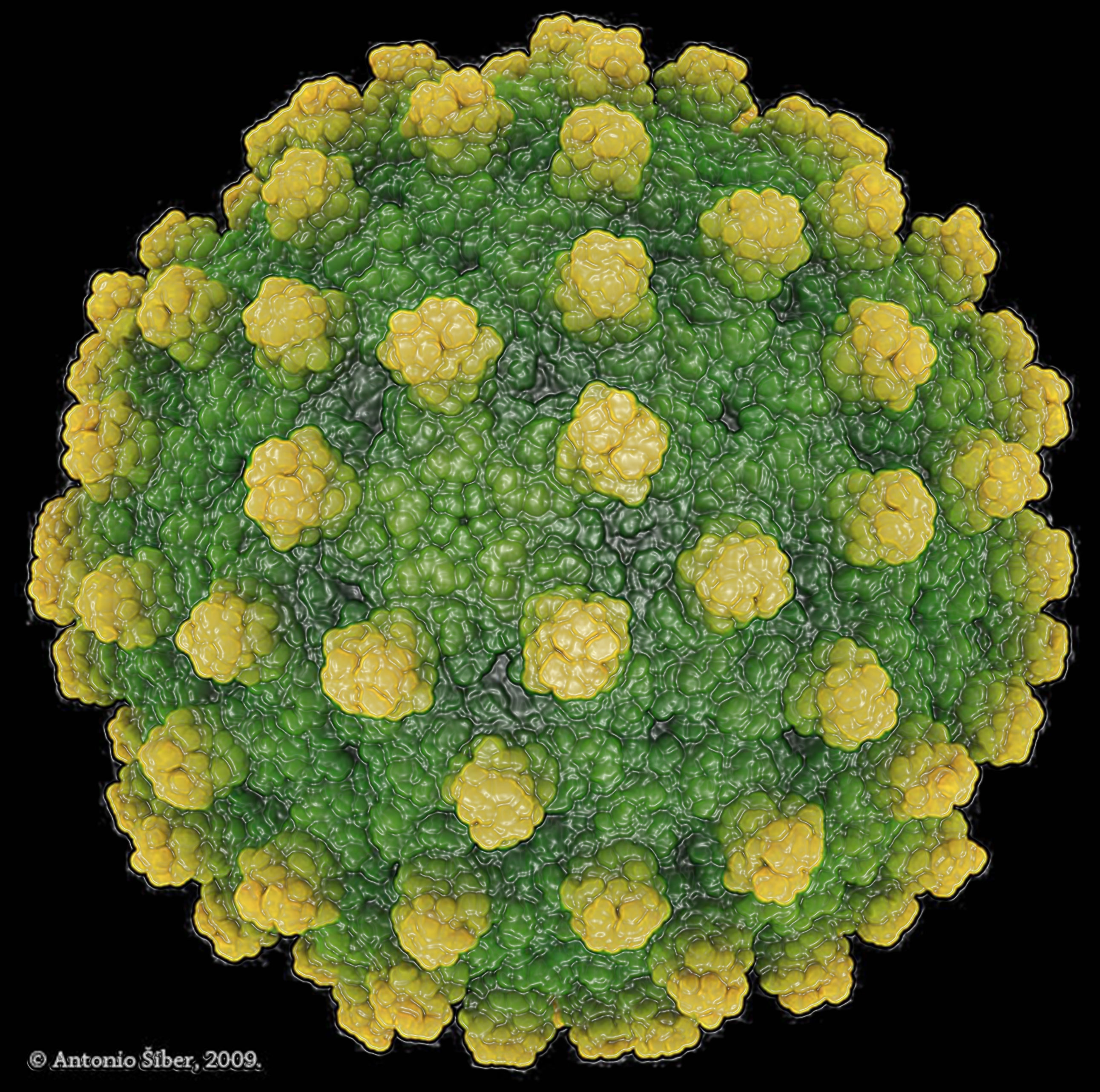 Mustard virus. Вирус гепатита Дельта. Вирус гепатита б. Hepatitis b вирус. Вирус гепатита б под микроскопом.
