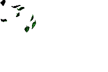 Эротика хабарларын қараңыз