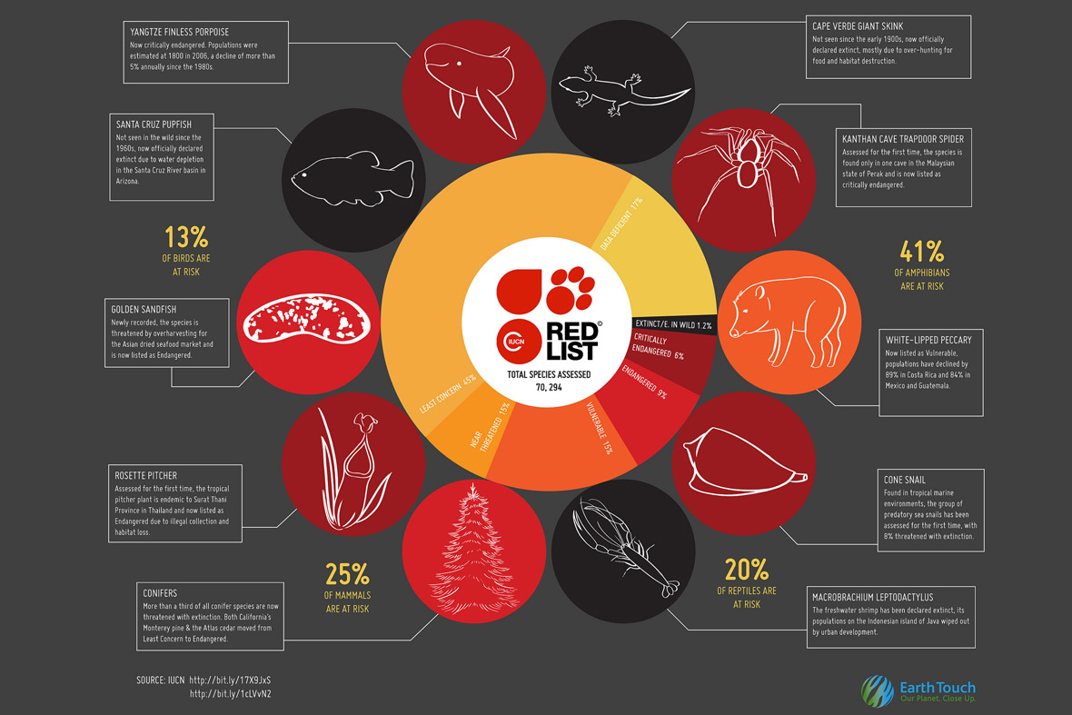 Raws list. Красная книга Red list. Red list of threatened species. IUCN Red list of threatened species. Инфографика список.