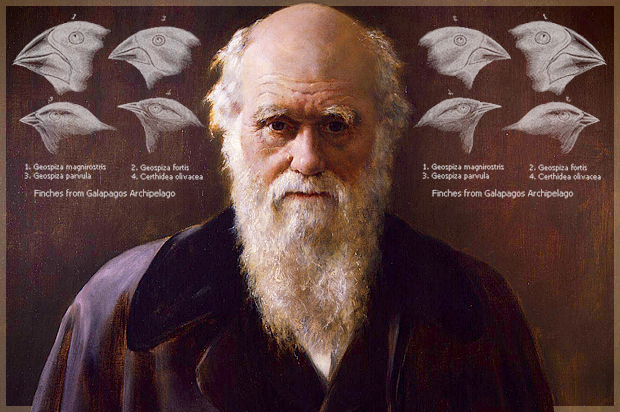 Resultado de imagen para imagenes de charles darwin