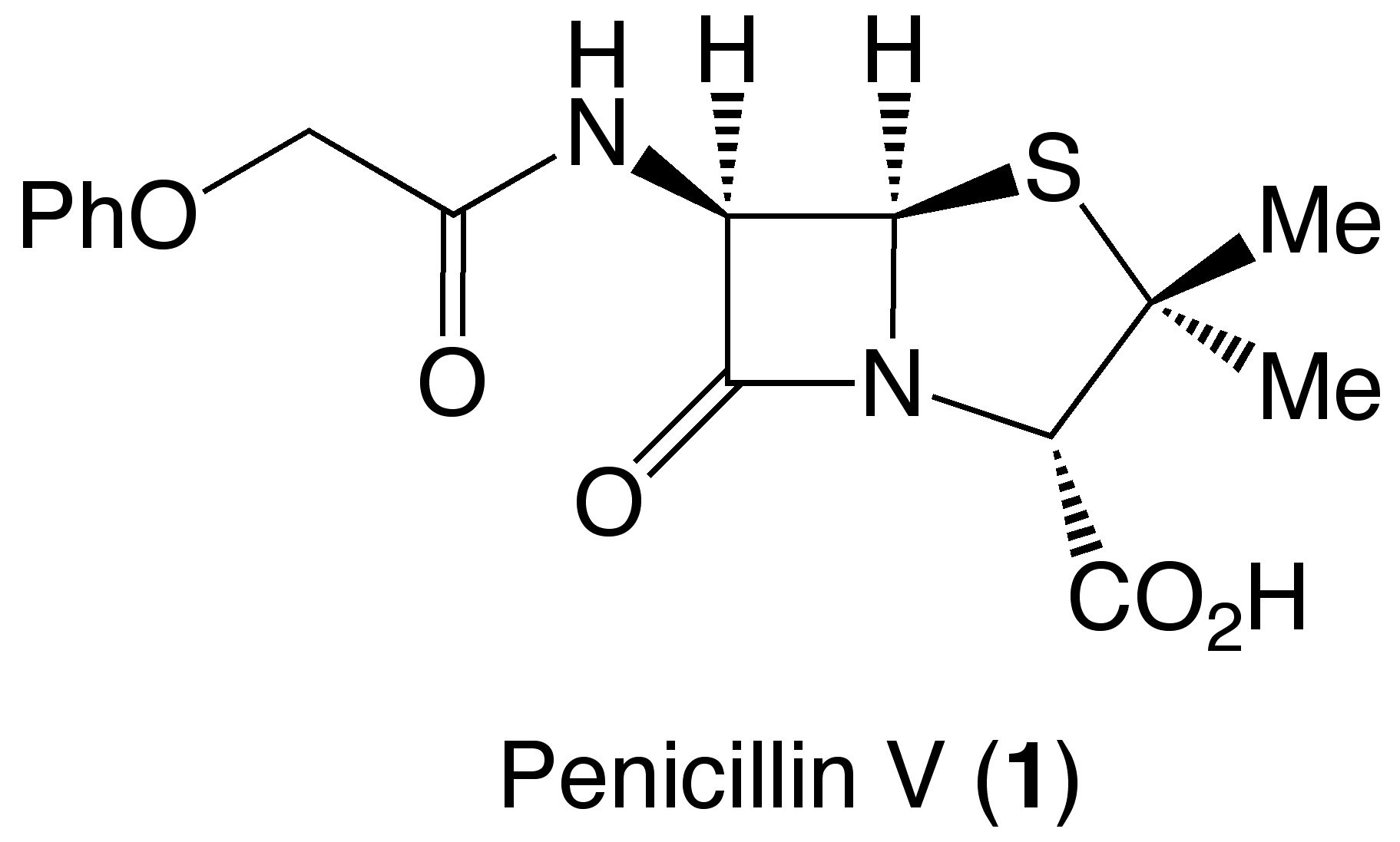 Как получить пенициллин
