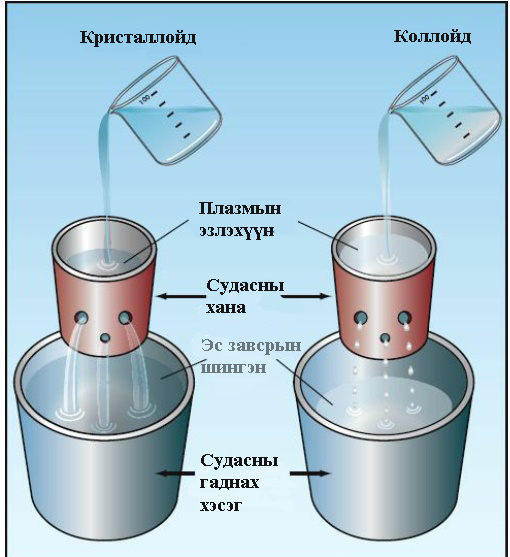 10д Хак Бек сак on emaze