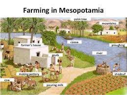 Mesopotamian Agriculture