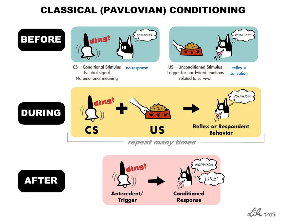 phobias pavlovian model