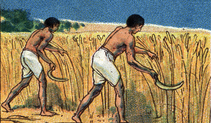 Ancient Egyptian Farmer Life - Farmer Foto Collections