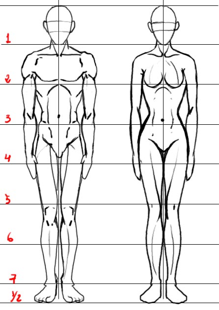 Пропорциональный рисунок. Красивые пропорции женского тела. Параметры тела женщины для рисования. Пропорции фигуры и прически. Красивая женщина пропорции.