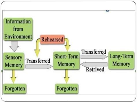 Information processing at emaze Presentation