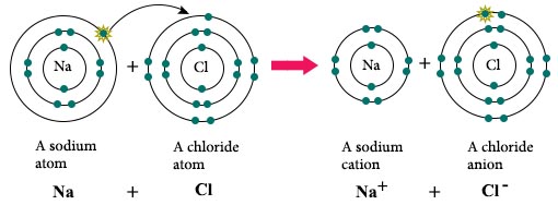 Cacl2 Ionic Bond Diagram - Images | Amashusho