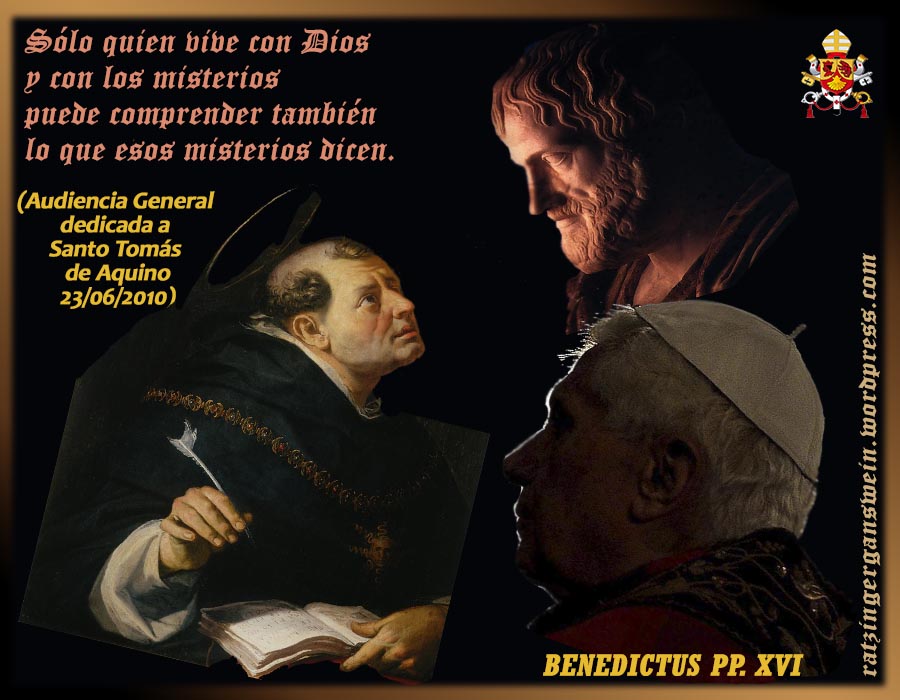 Frases De Sao Tomas De Aquino