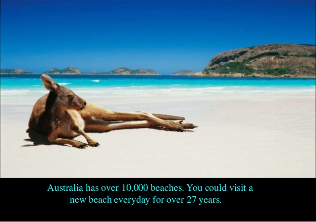 Interesting Beach Facts The Best Beaches In World Australia By Hannah On Emaze Honduras Facts Interesting And Figures