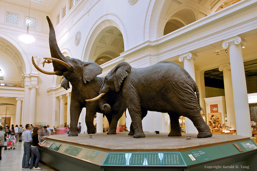 The Field Museum on emaze