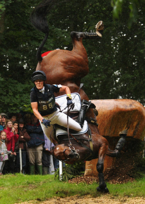 Прыжки через лошадь. Лошадь прыгает через барьер. Самый высокий прыжок лошади со всадником. Лошадь прыгает. Прыжки через лошадь.