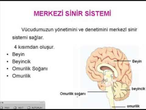 Tıraşlı tapınak. Kim gidecek ve kim yapmayacak Tıraşlı tapınak. Kim gidecek ve kim yapmayacak
