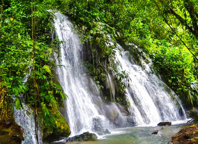 Parque nacional Río Abisea on emaze