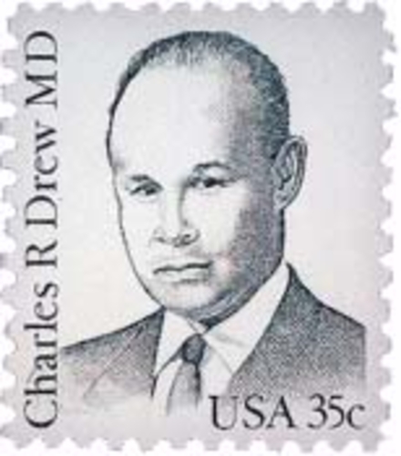 Image result for dr. charles drew