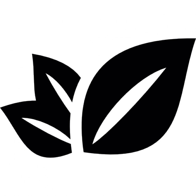 Лист пиктограмма. Лист логотип. Пиктограмма чайный лист. Иконки листьев.