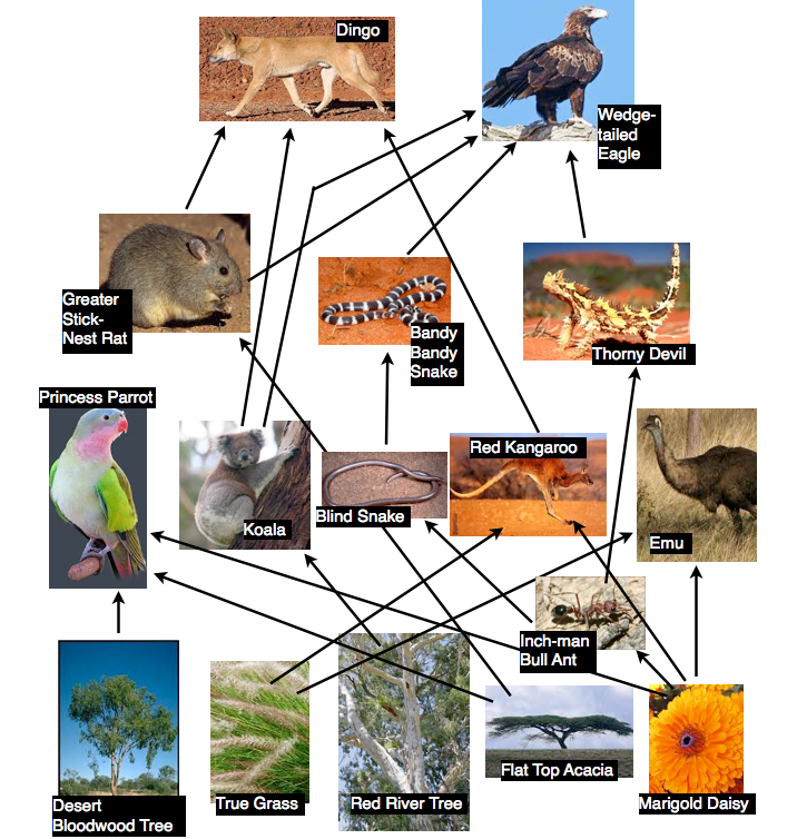 How human factors effect the carbon and water cycles in the Amazon ...