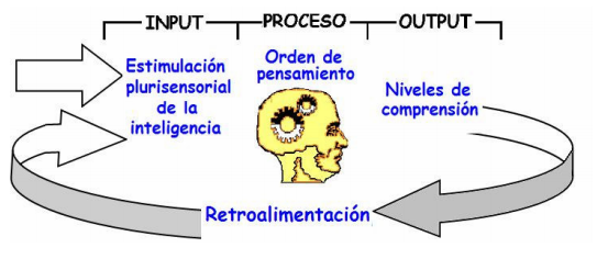 Estimulacion Plurisensorial De La Inteligencia - slingo