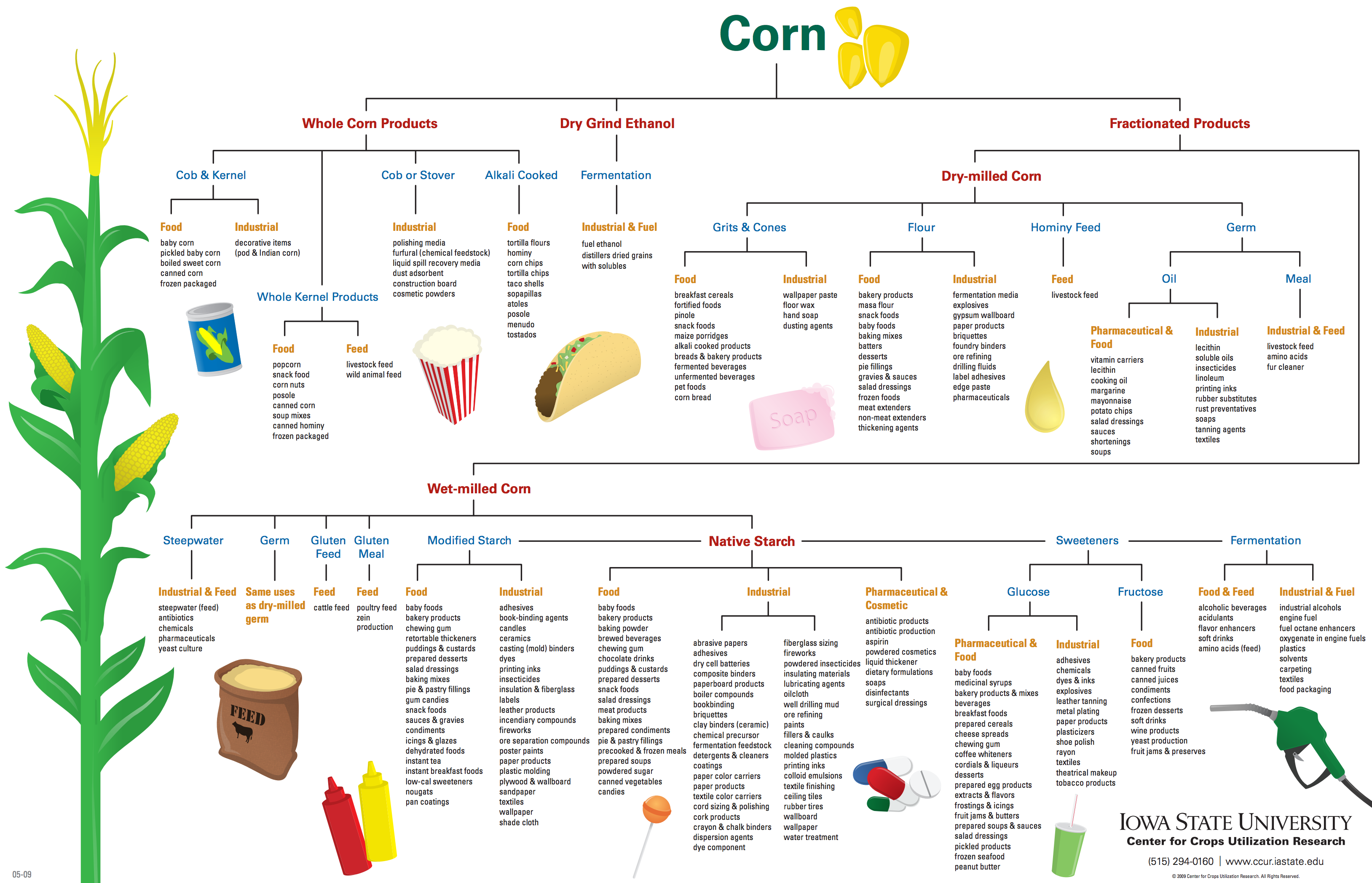 Corning were. Corn Production. Corn structure. Corn product печать. Corn Syrup Production process.