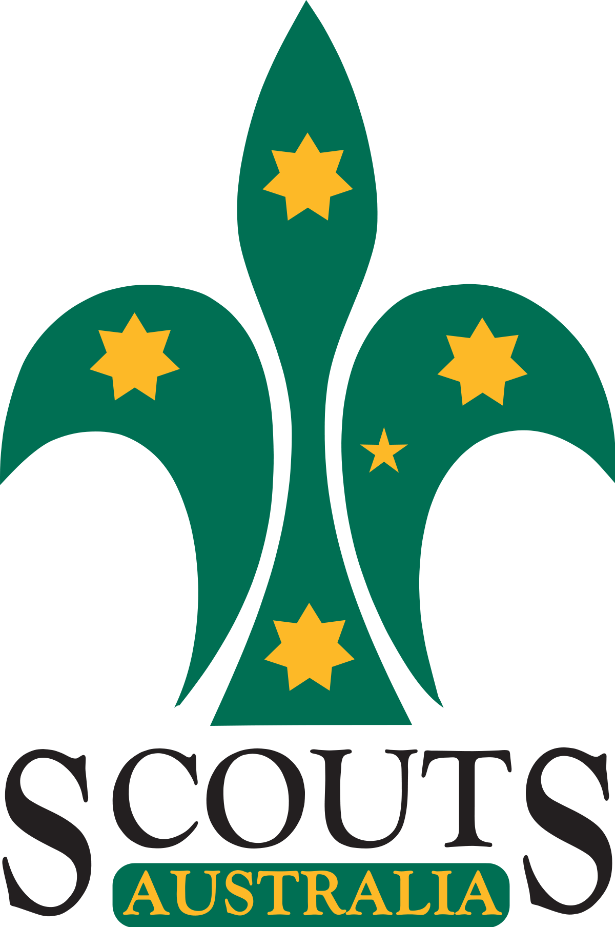 What Skills Do You Need To Become A Scout Leader At Emaze Presentation