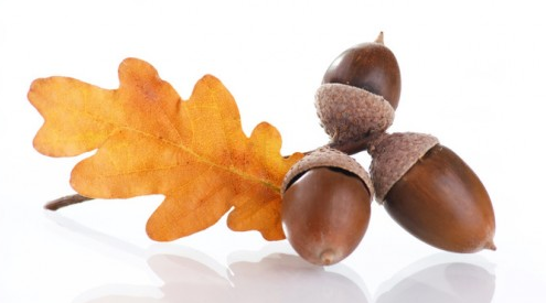 chilula tribe at emaze Presentation