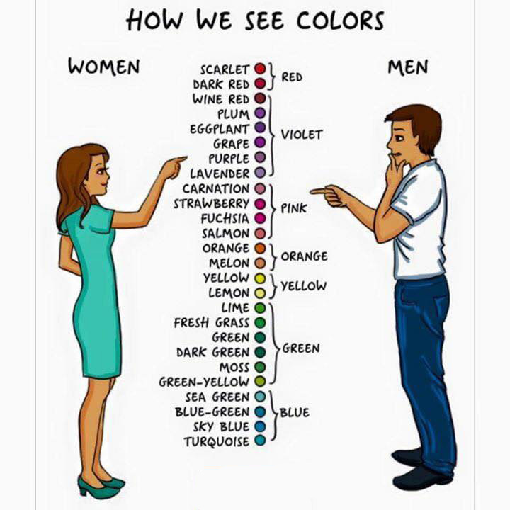 the-color-shoppe-on-emaze