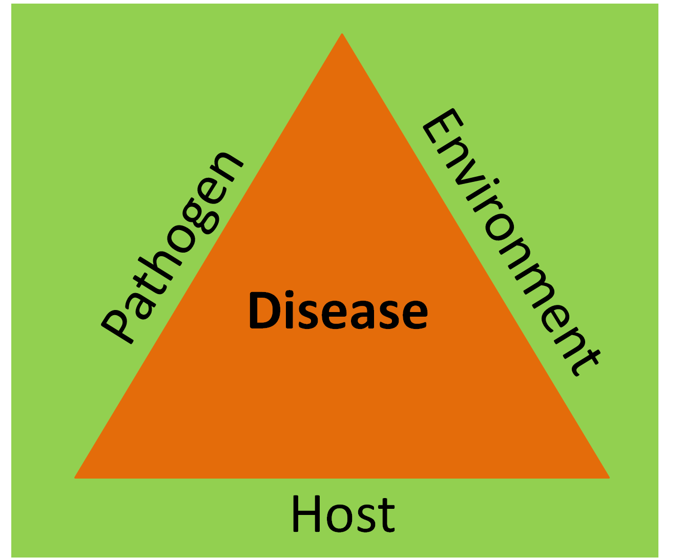 Per non. Гарланд треугольник болезнь. Triangle virus.