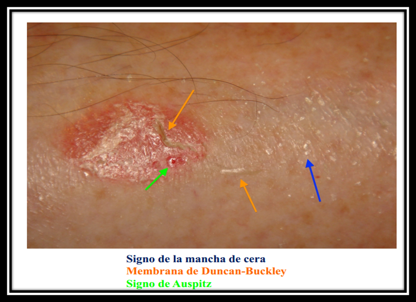 Presentation Name on emaze