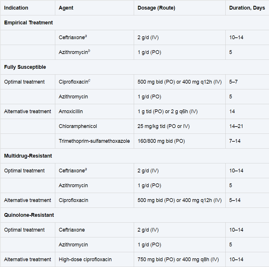 Salmonellainfection on emaze