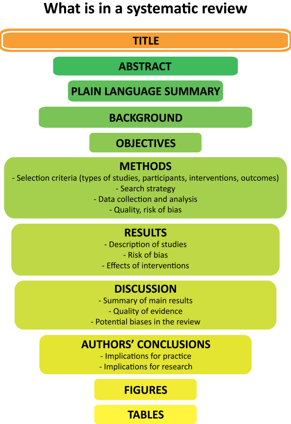 Language summary. Systematic Review. Systematic перевод.