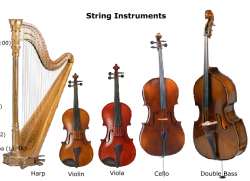 string instruments list with pictures and names