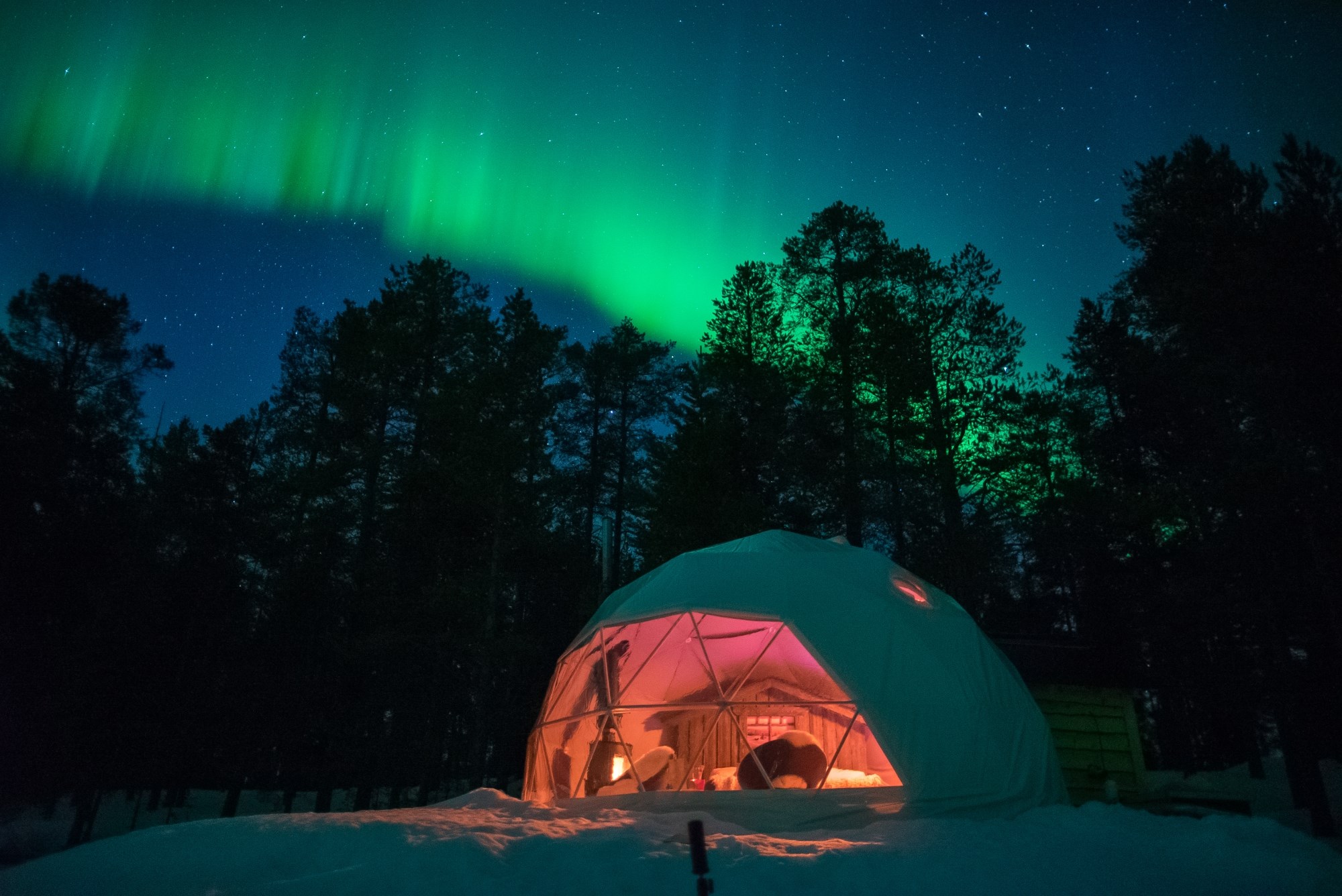 Глэмпинг северное сияние мурманск. Глэмпинг северное сияние. Глэмпинг северное сияние. Аврора глэмпинг мурманск. Отель аврора вилладж мурманск.