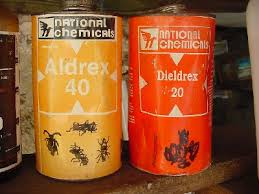 PLAGUICIDAS on emaze