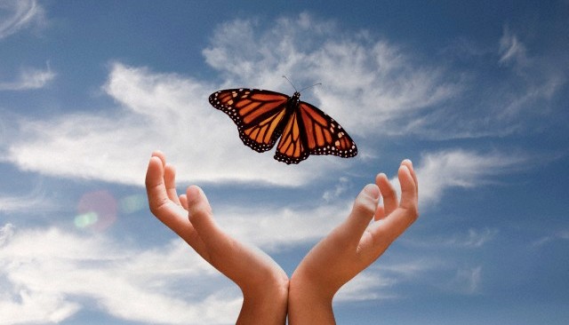 תוצאת תמונה עבור תודה על ההקשבה אנימציה