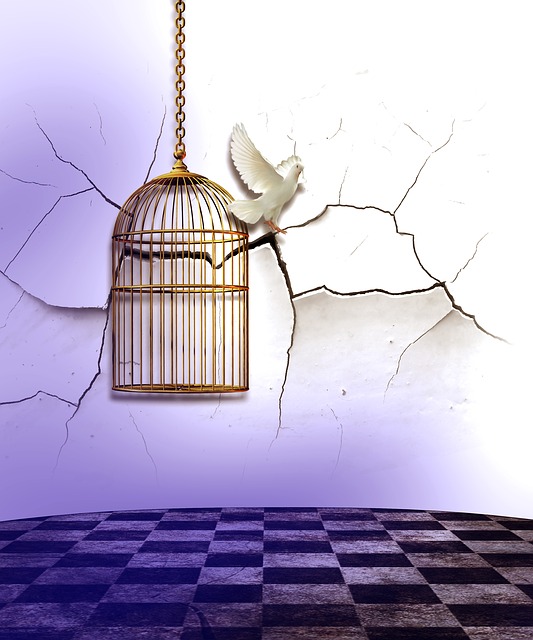 Isolation Themes at emaze Presentation