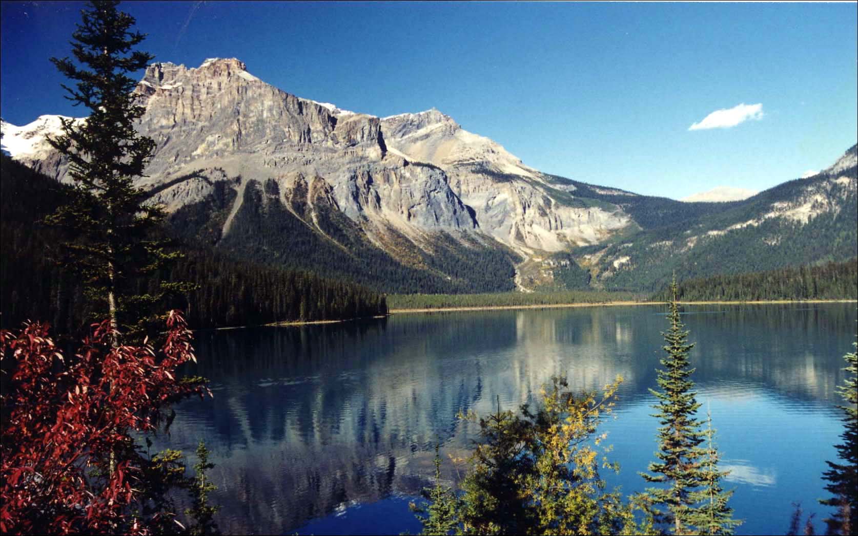 Какие озера находятся на территории канады. Большое Медвежье озеро Канада. Большое Медвежье озеро Северная Америка. Озеро бол Медвежье в Северной Америке. Озеро Маккей Канада.