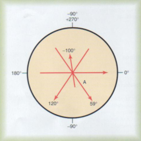 Resultado de imagen para vector medio a traves de ventriculos