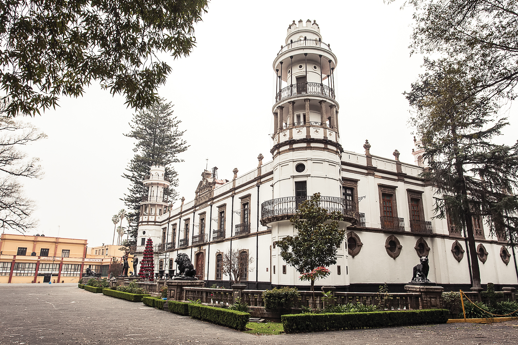 ruta edo at emaze Presentation